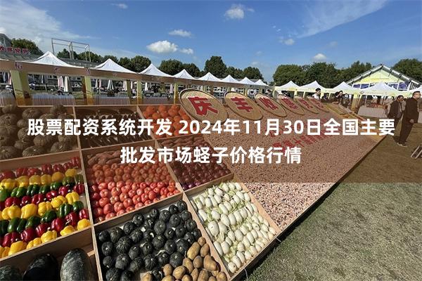 股票配资系统开发 2024年11月30日全国主要批发市场蛏子价格行情
