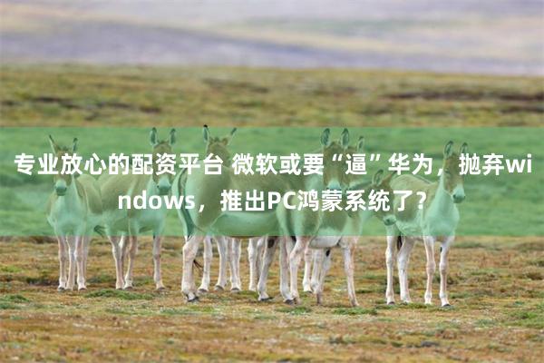 专业放心的配资平台 微软或要“逼”华为，抛弃windows，推出PC鸿蒙系统了？