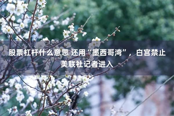 股票杠杆什么意思 还用“墨西哥湾”，白宫禁止美联社记者进入