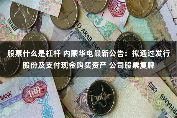 股票什么是杠杆 内蒙华电最新公告：拟通过发行股份及支付现金购买资产 公司股票复牌