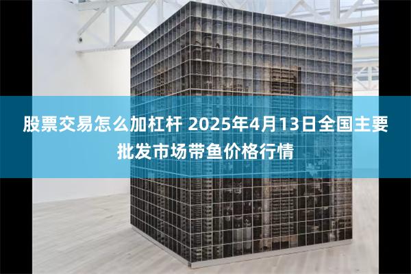 股票交易怎么加杠杆 2025年4月13日全国主要批发市场带鱼价格行情