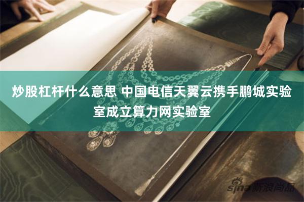 炒股杠杆什么意思 中国电信天翼云携手鹏城实验室成立算力网实验室