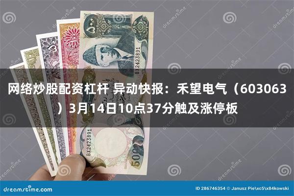 网络炒股配资杠杆 异动快报：禾望电气（603063）3月14日10点37分触及涨停板