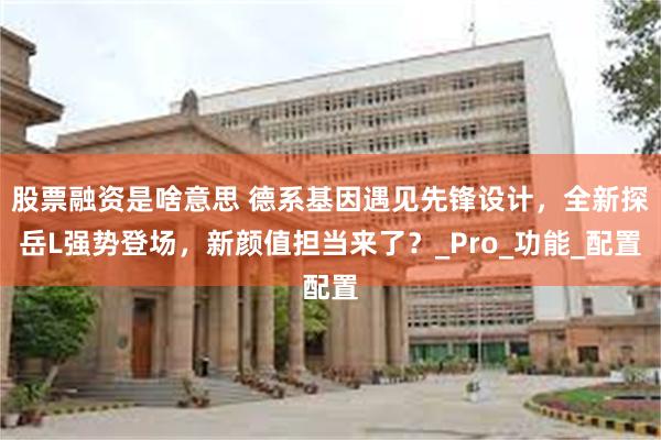 股票融资是啥意思 德系基因遇见先锋设计，全新探岳L强势登场，新颜值担当来了？_Pro_功能_配置
