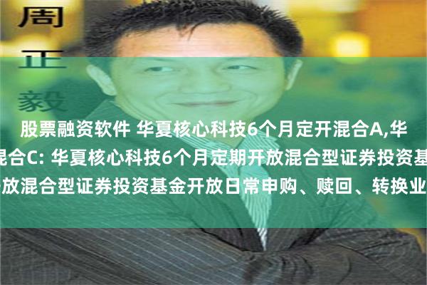 股票融资软件 华夏核心科技6个月定开混合A,华夏核心科技6个月定开混合C: 华夏核心科技6个月定期开放混合型证券投资基金开放日常申购、赎回、转换业务的公告