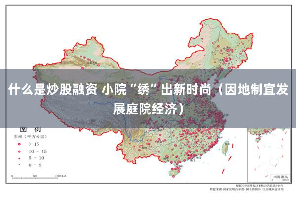 什么是炒股融资 小院“绣”出新时尚（因地制宜发展庭院经济）