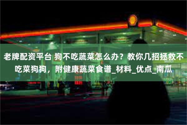 老牌配资平台 狗不吃蔬菜怎么办？教你几招拯救不吃菜狗狗，附健康蔬菜食谱_材料_优点_南瓜