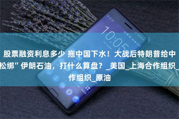 股票融资利息多少 拖中国下水！大战后特朗普给中国“松绑”伊朗石油，打什么算盘？_美国_上海合作组织_原油