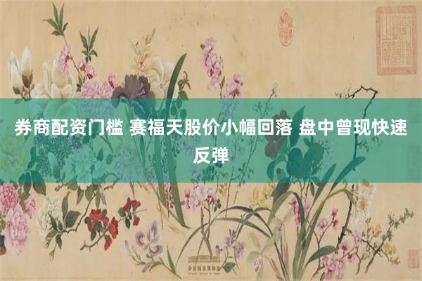 券商配资门槛 赛福天股价小幅回落 盘中曾现快速反弹