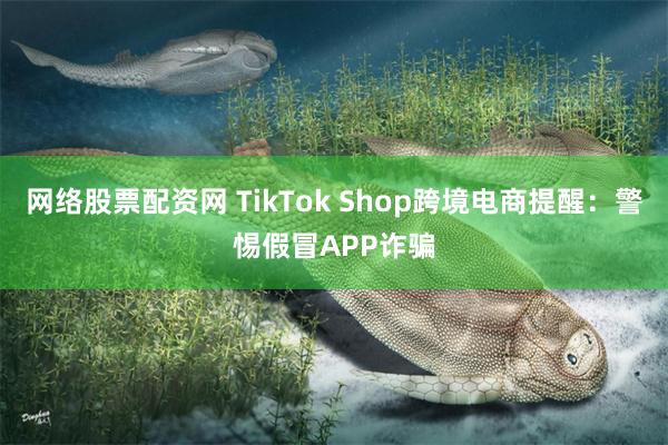 网络股票配资网 TikTok Shop跨境电商提醒：警惕假冒APP诈骗