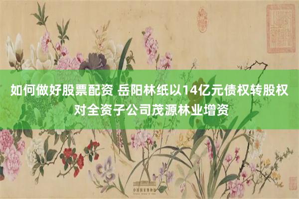 如何做好股票配资 岳阳林纸以14亿元债权转股权 对全资子公司茂源林业增资