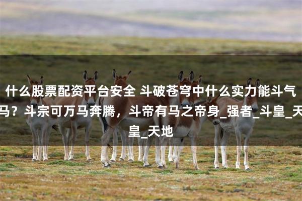 什么股票配资平台安全 斗破苍穹中什么实力能斗气化马？斗宗可万马奔腾，斗帝有马之帝身_强者_斗皇_天地